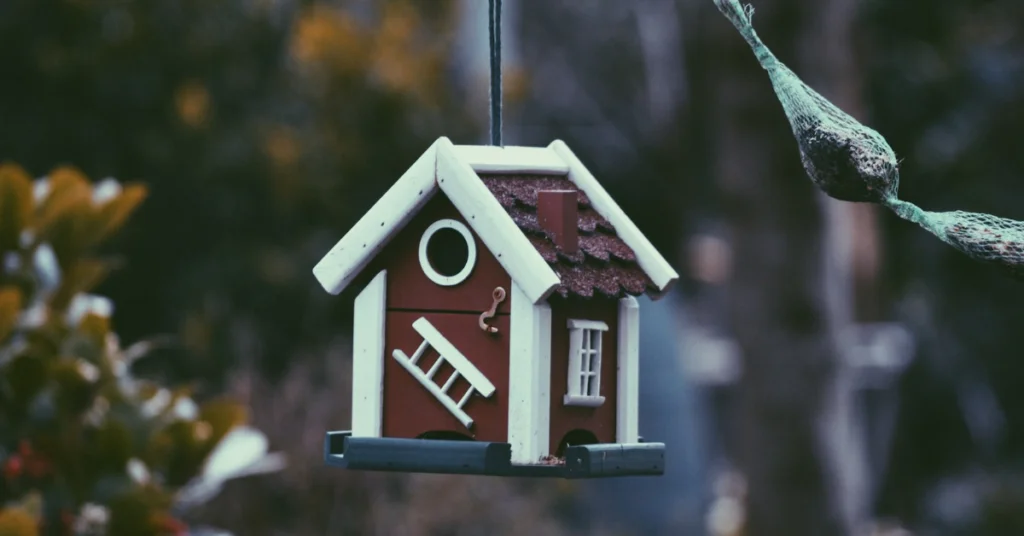 How Long After Debt Settlement Can I Buy a House